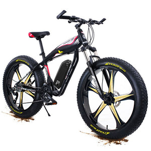 Custom 26inch Ebike electric mountain bicycle