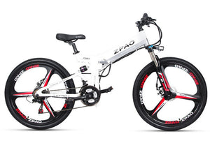 New Arrival Promotional 48v 350w E-bike