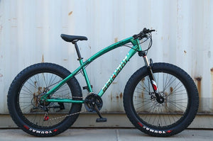 Extra Large Tire Variable speed Fat Mountain Bicycle