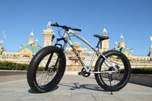 Load image into Gallery viewer, Extra Large Tire Variable speed Fat Mountain Bicycle