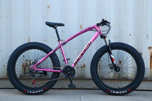 Load image into Gallery viewer, Extra Large Tire Variable speed Fat Mountain Bicycle