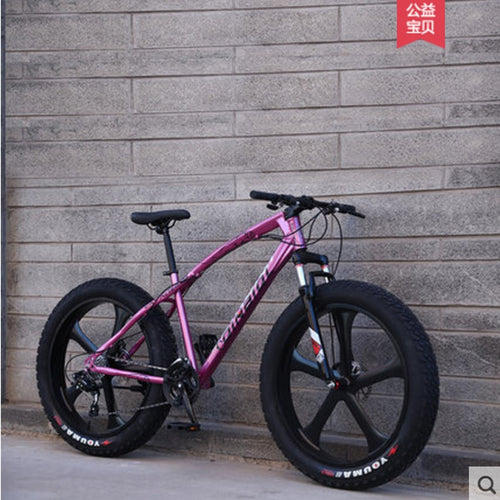 Five Knife Wheel Cross-country Variable Speed Bike